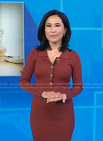 Vicky’s brown ribbed polo dress on Today