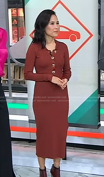 Vicky's brown ribbed polo dress on Today