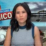 Vicky’s blue textured vest on NBC News Daily