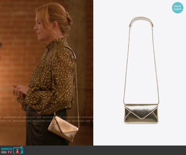 Zara Crossbody Clutch worn by Tina Kennard (Laurel Holloman) on The L Word Generation Q