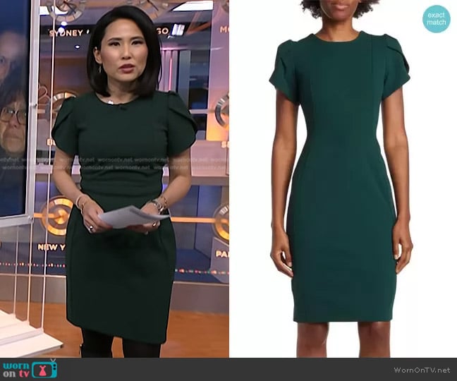 Calvin Klein Tulip Sleeve Dress worn by Vicky Nguyen on NBC News Daily