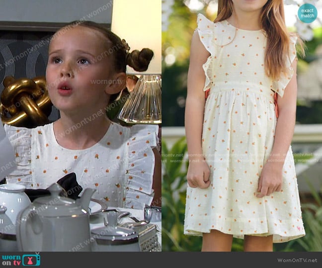 Pink Chicken Amy Dress worn by Rachel Black (Finley Rose Slater) on Days of our Lives