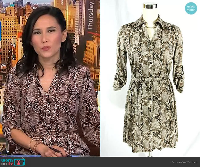 Shirt Dress by INC International Concept Python Print worn by Vicky Nguyen on NBC News Daily