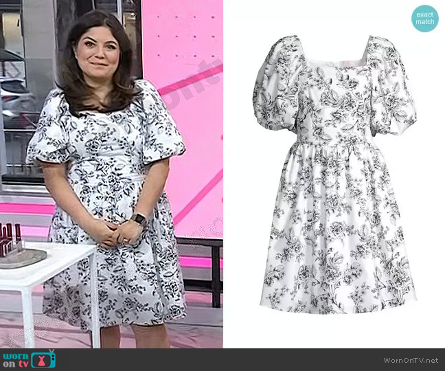 Rachel Parcell Floral Poplin Fit & Flare Minidress worn by Adrianna Barrionuevo Brach on Today