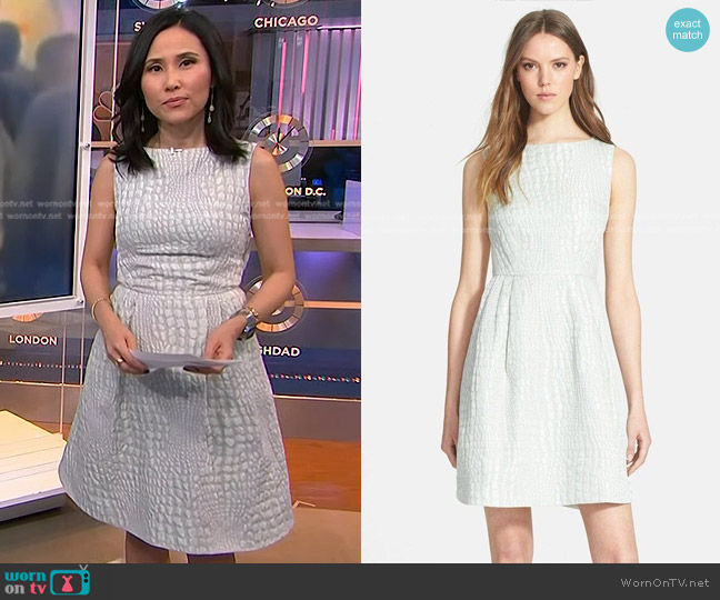 Ted Baker Kaleen Dress worn by Vicky Nguyen on NBC News Daily
