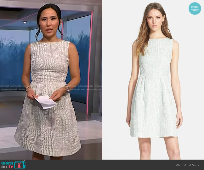 Ted Baker Kaleen Dress worn by Vicky Nguyen on NBC News Daily