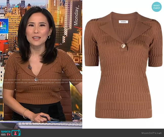 Sandro Victor Rib-Knit Sweater worn by Vicky Nguyen on NBC News Daily