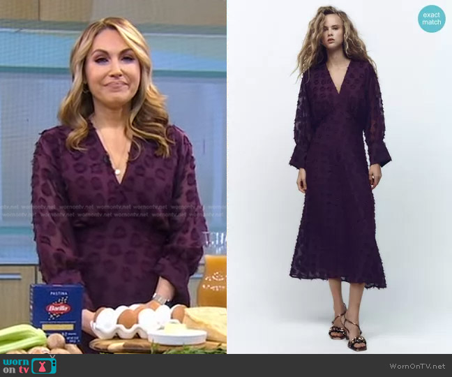 Zara Dotted Mesh Midi Dress worn by Lori Bergamotto on Good Morning America