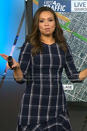 Adelle’s navy plaid dress on Today