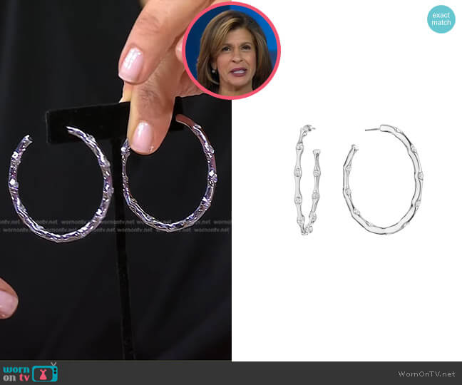 Jennifer Miller Sparkle Hoop Earrings worn by Hoda Kotb on Today