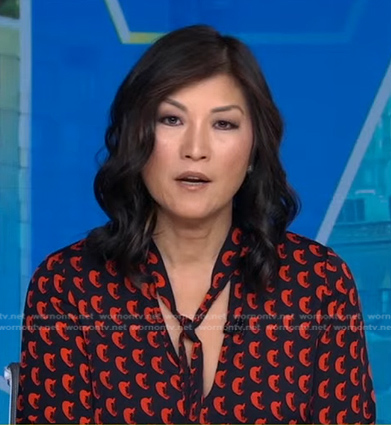 Juju Chang’s printed tie neck blouse on Good Morning America