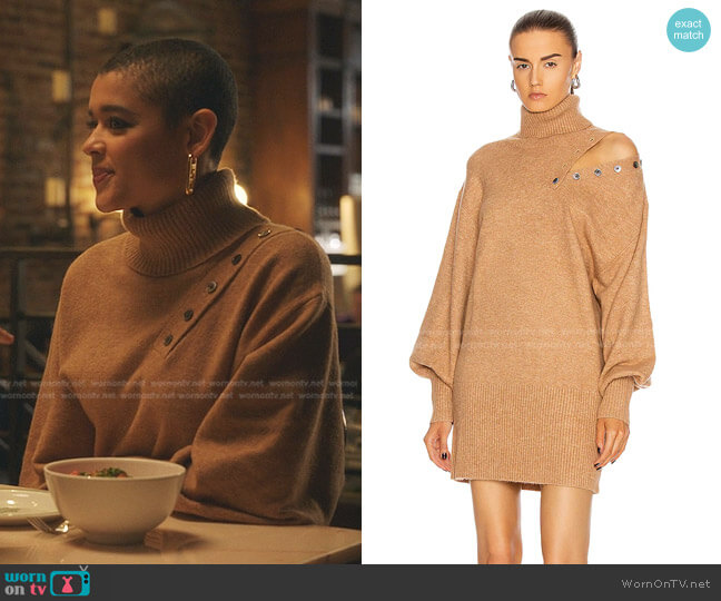 Marissa Webb Blake Button Cashmere Blend Turtleneck Dress worn by Julien Calloway (Jordan Alexander) on Gossip Girl