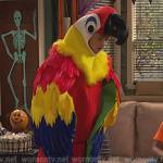 Neil’s parrot costume on Ravens Home