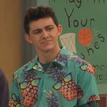 Neil’s Pinapple sunglasses print shirt on Ravens Home