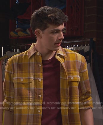 Neil's yellow plaid shirt on Ravens Home