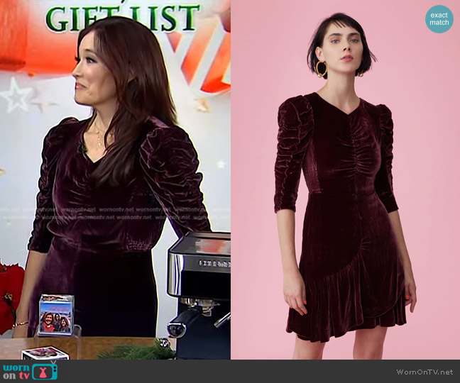 Rebecca Taylor Ruched Velvet Dress worn by Amy E Goodman on Today