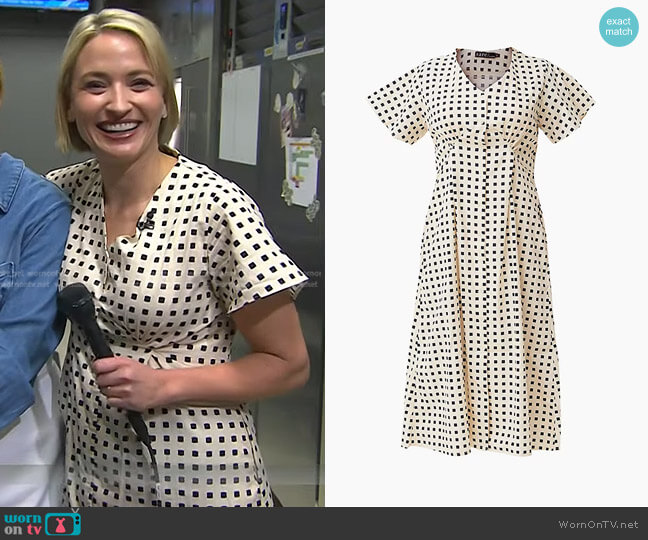 Sare Studio Empire Waist Dress worn by Erin French on Today