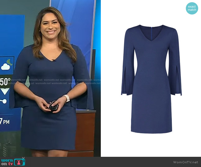 Trina Turk Bouquet Dress in Blue worn by Violeta Yas on NBC News Daily
