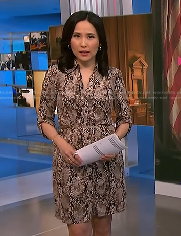 Vicky's snake print shirtdress on NBC News Daily