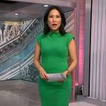 Vicky’s green fuzzy dress on NBC News Daily