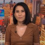 Vicky’s brown ribbed polo top on NBC News Daily