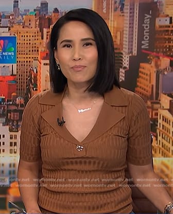 Vicky's brown ribbed polo top on NBC News Daily