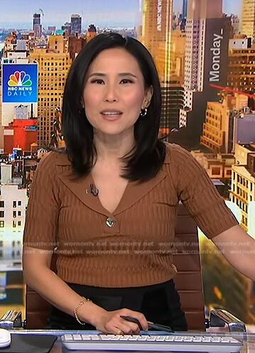 Vicky's brown ribbed polo top on NBC News Daily