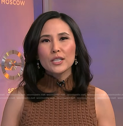 Vicky’s brown turtleneck sleeveless sweater on NBC News Daily