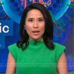 Vicky’s green fuzzy dress on NBC News Daily