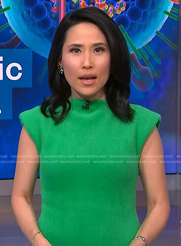 Vicky’s green fuzzy dress on NBC News Daily