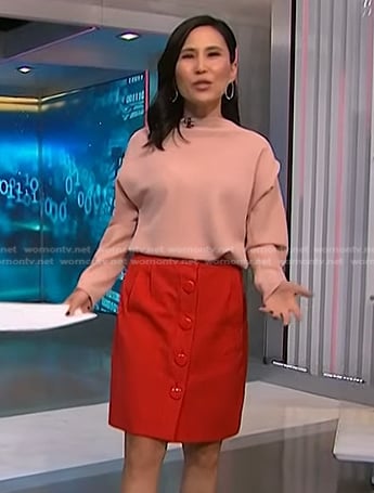 Vicky’s red button front skirt on NBC News Daily