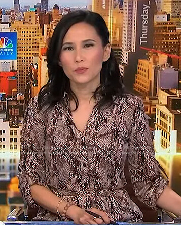 Vicky's snake print shirtdress on NBC News Daily