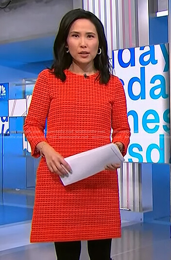 Vicky's red embroidered shift dress on NBC News Daily