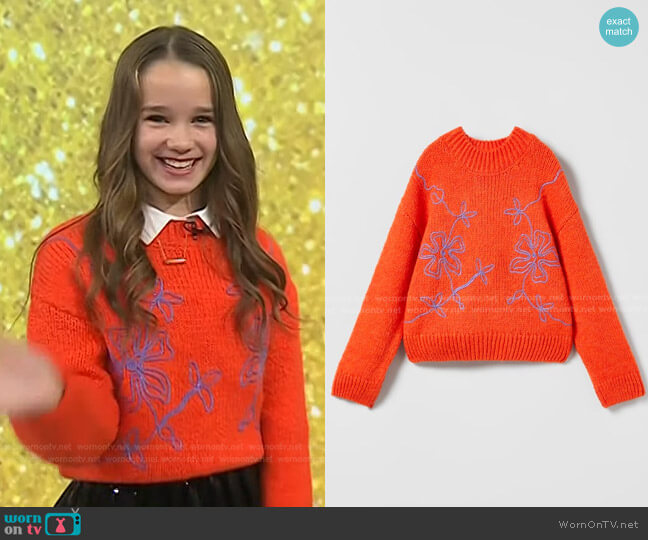 Zara Floral Embroidered Knit Sweater worn by Alisha Weir on Today