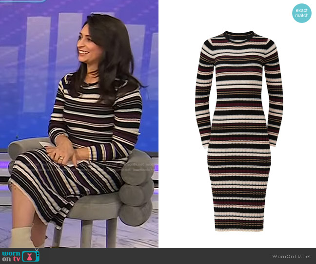 Adam Lippes Collective Striped Long Sleeve Ribbed Dress worn by Holly Palmieri on Today