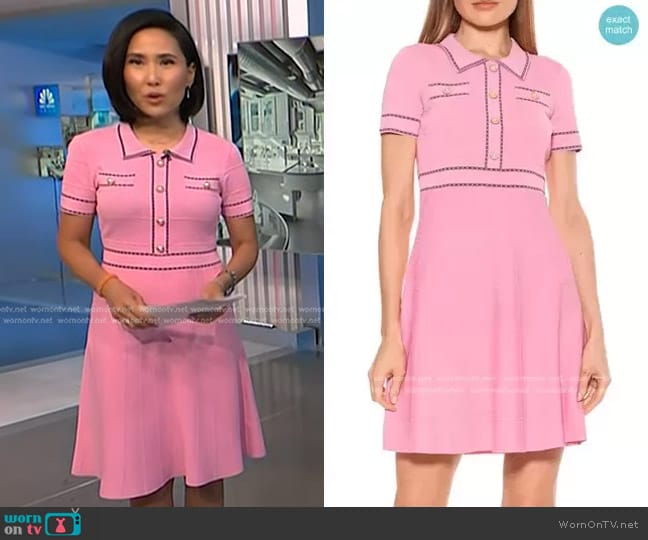 Alexia Admor Jenna Knitted Short Sleeve Dress worn by Vicky Nguyen on NBC News Daily