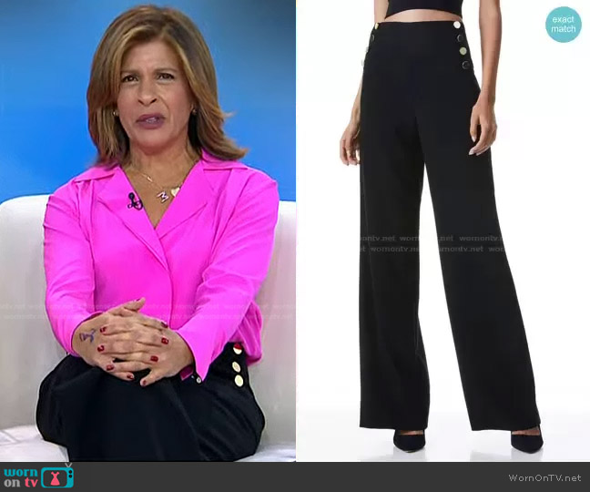 Alice + Olivia Ray Button Front Pant worn by Hoda Kotb on Today