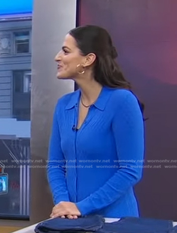 Janelle Cohen’s blue knit shirtdress on Good Morning America