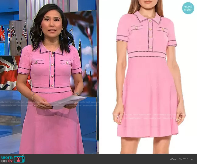 Alexia Admor Jenna Knitted Short Sleeve Dress worn by Vicky Nguyen on NBC News Daily