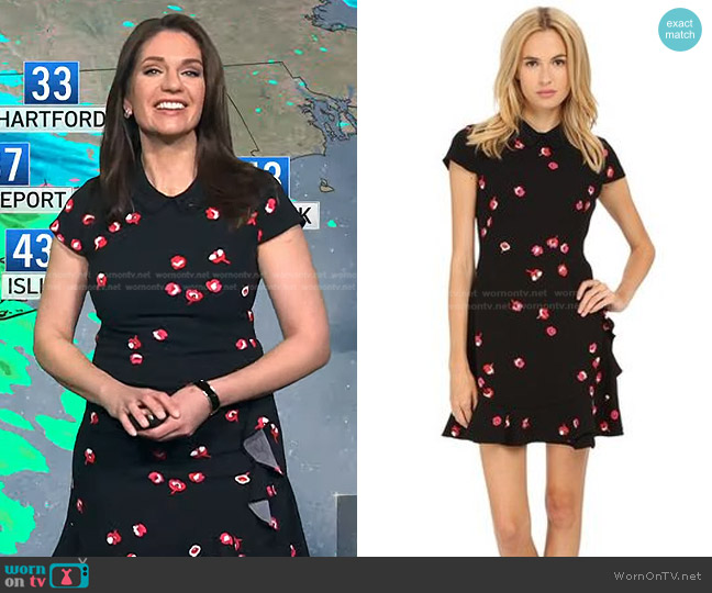 Kate Spade Florals Ruffle Dress worn by Maria Larosa on Today
