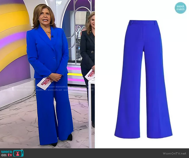 WornOnTV: Hodaâs blue blazer and wide-leg pants on Today | Hoda Kotb | Clothes and Wardrobe from TV