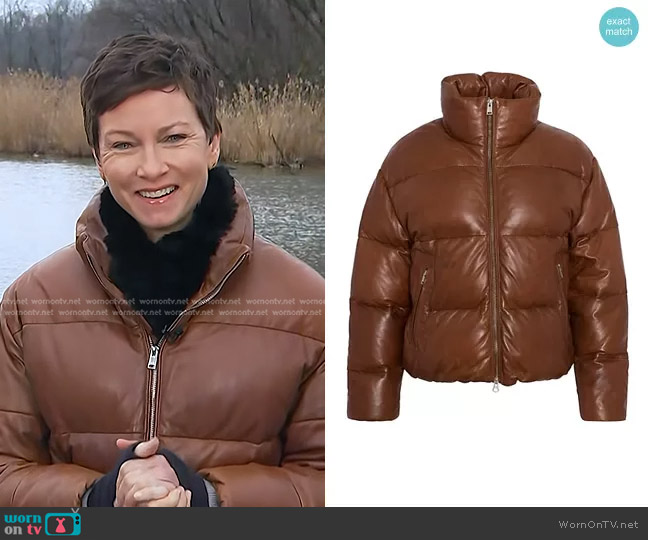 Lamarque Iris Leather Puffer Jacket worn by Stephanie Gosk on Today