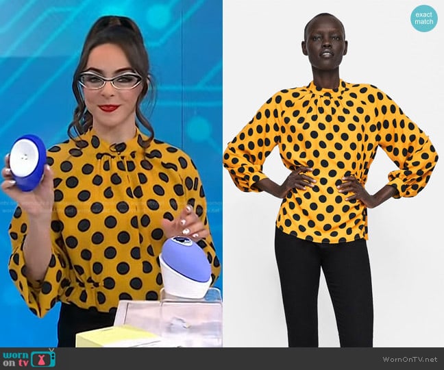 Zara Polka Dot Blouse worn by Katie Linendoll on Today