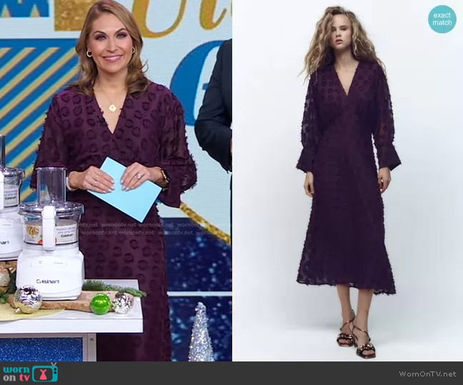 Zara Dotted Mesh Midi Dress worn by Lori Bergamotto on Good Morning America