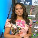 Adelle’s pink floral sheath dress on Today
