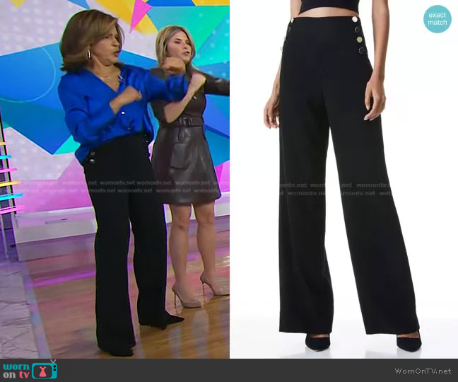 WornOnTV: Hoda’s blue satin shirt and black pants on Today | Hoda Kotb ...