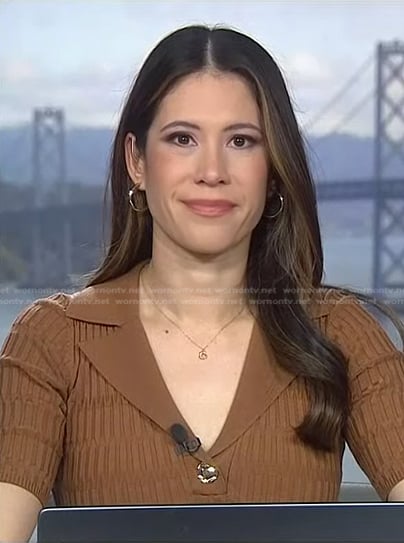 Deirdre Bosa’s brown ribbed top on NBC News Daily