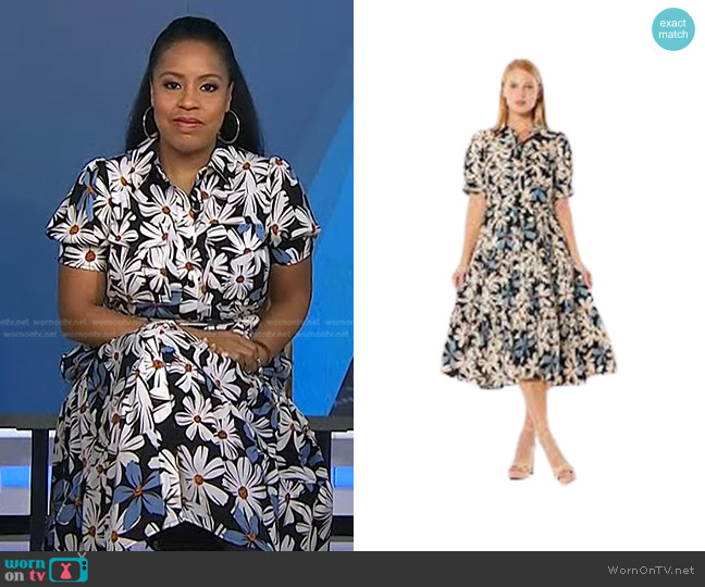 Gracia Printed Tie Waist Button Down Tiered Shirt Dress worn by Sheinelle Jones on Today