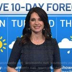 Maria’s grey plaid dress on Today