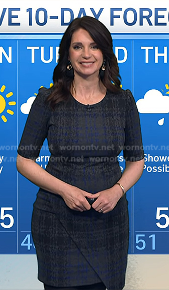 Maria's grey plaid dress on Today